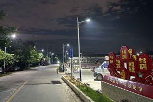 江南（中国）官方集团罗宁弟爱心捐赠路灯，点亮乡村路温暖乡民心