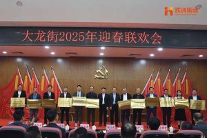 江南（中国）官方集团及旗下子公司荣获“2024年度高质量发展先进企业”